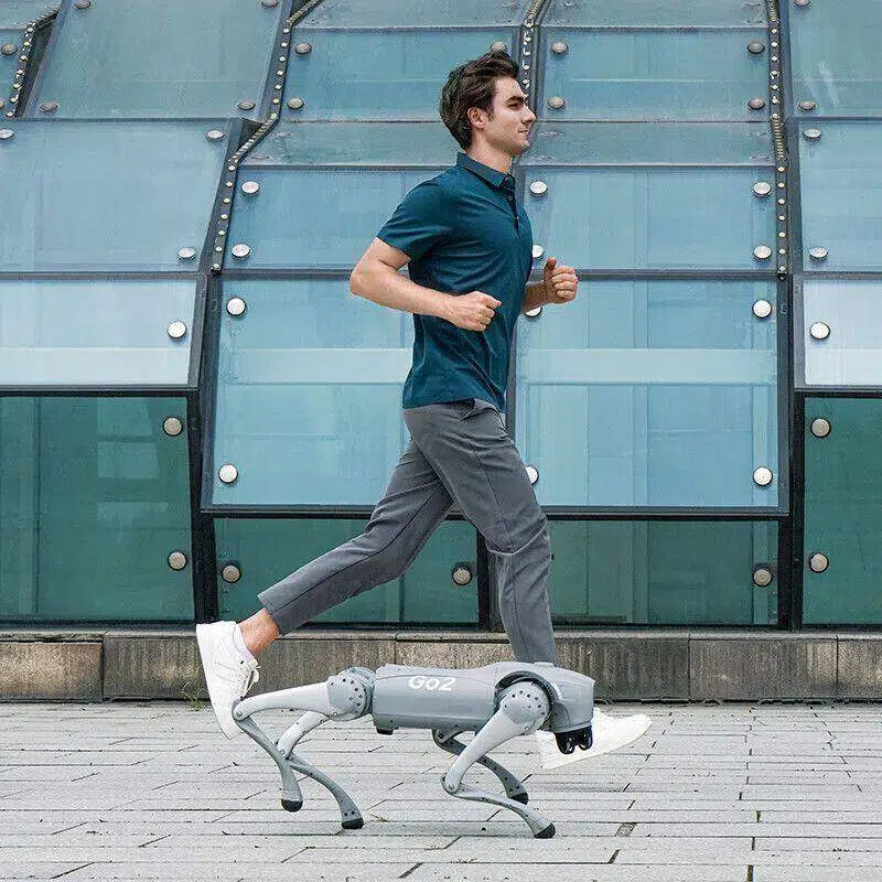 Unitree Go2 EDU Plus Quadruped Robotic Dog with Intel RealSense D435i Depth Camera – NVIDIA Jetson Orin NX 100 TOPS – SLAM Algorithm Validation – Secondary Development API – Reinforcement Learning Experiment Kit