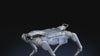 The Unitree A2 robot dog runs and jumps while carrying a load in complex outdoor terrain, creating a dynamic visual experience.